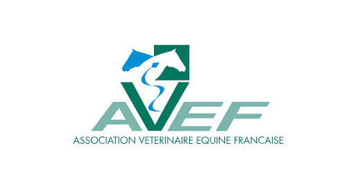 AVEF congress